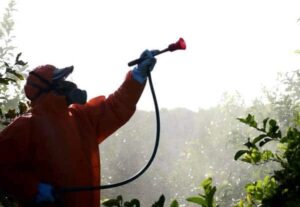 What kind of mask do you use when spraying roundup?